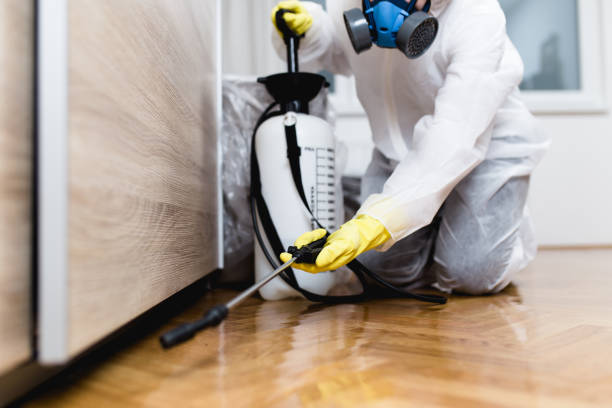 Best Bed Bug Extermination  in Fort Meade, MD