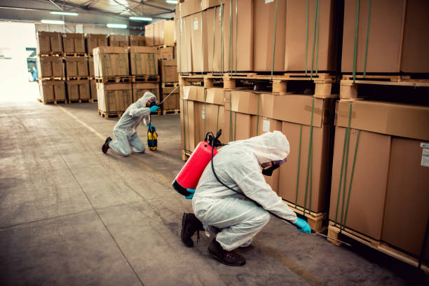 Best Pest Removal Services  in Fort Meade, MD