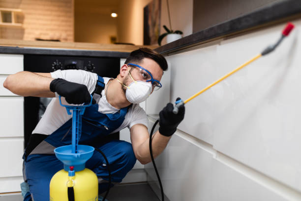 Best Affordable Pest Control Services  in Fort Meade, MD
