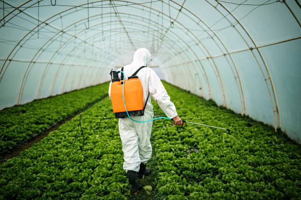 Best Pest Control Near Me  in Fort Meade, MD