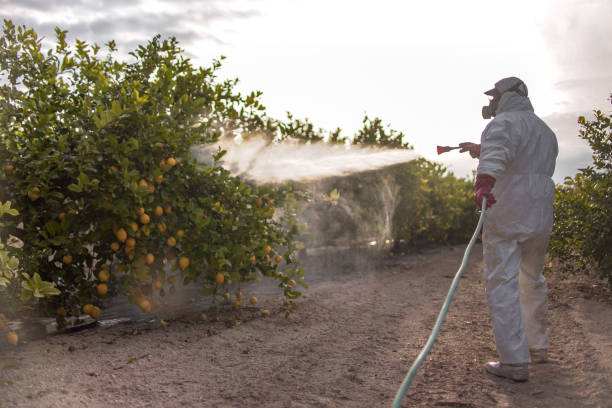 Pest Control for Restaurants in Fort Meade, MD