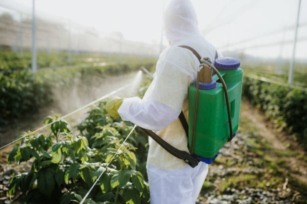 Best Pest Inspection Near Me  in Fort Meade, MD